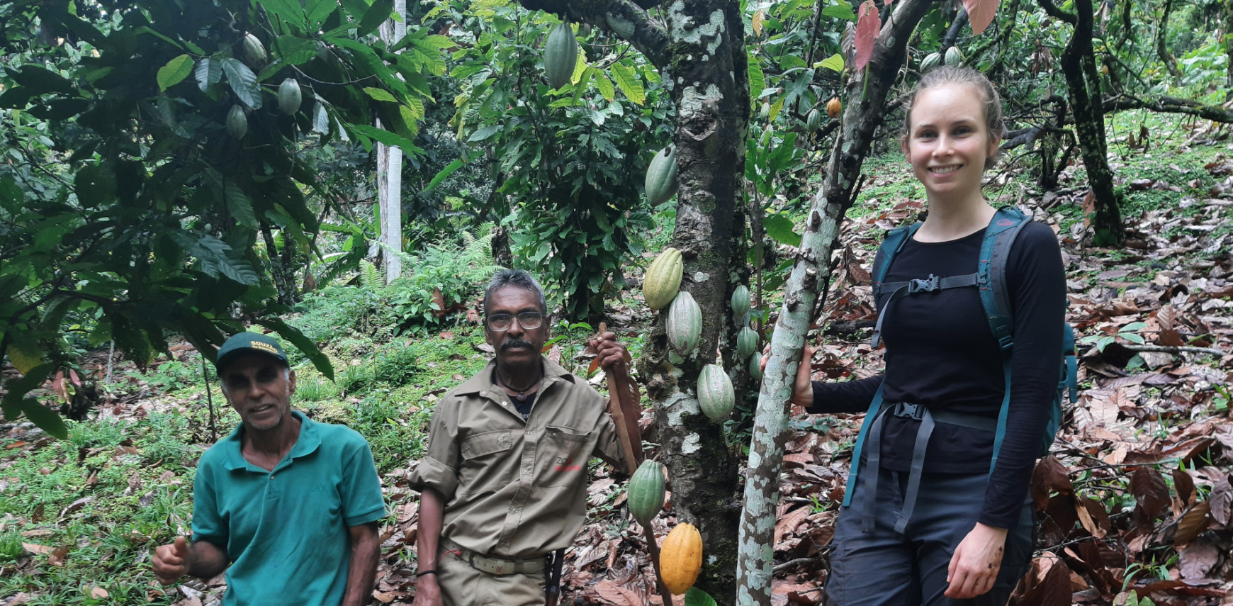 Schaduwbomen, wilde dieren en boeren: kan cacaoteelt goed zijn voor mens én natuur?