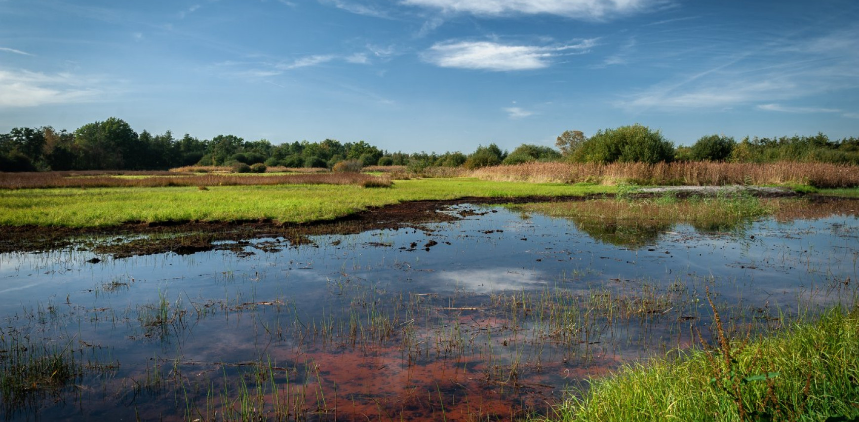 Klimaatneutraal? Dan moet het veen weer nat!