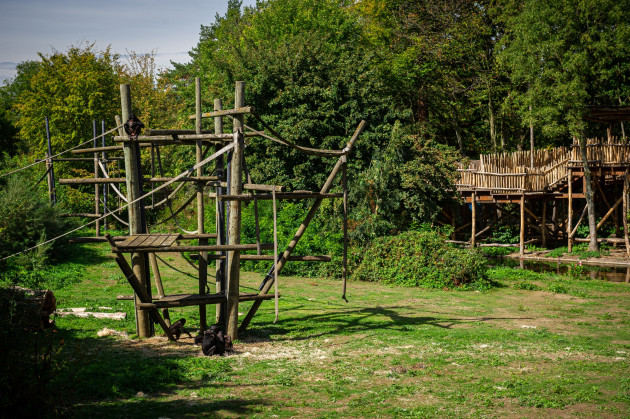 ZOO Planckendael - Jonas Verhulst