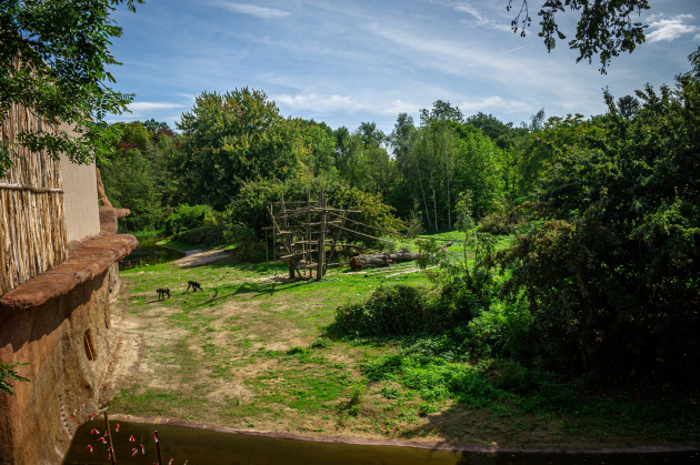 ZOO Planckendael - Jonas Verhulst