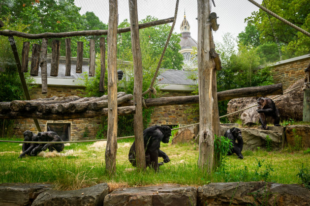 ZOO Antwerpen / Jonas Verhulst