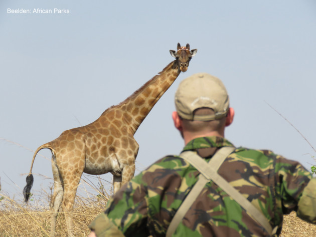 Copyright African Parks