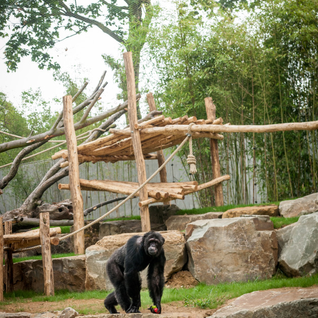 ZOO Antwerpen / Jonas Verhulst