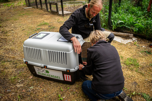 ZOO Planckendael / Jonas Verhulst