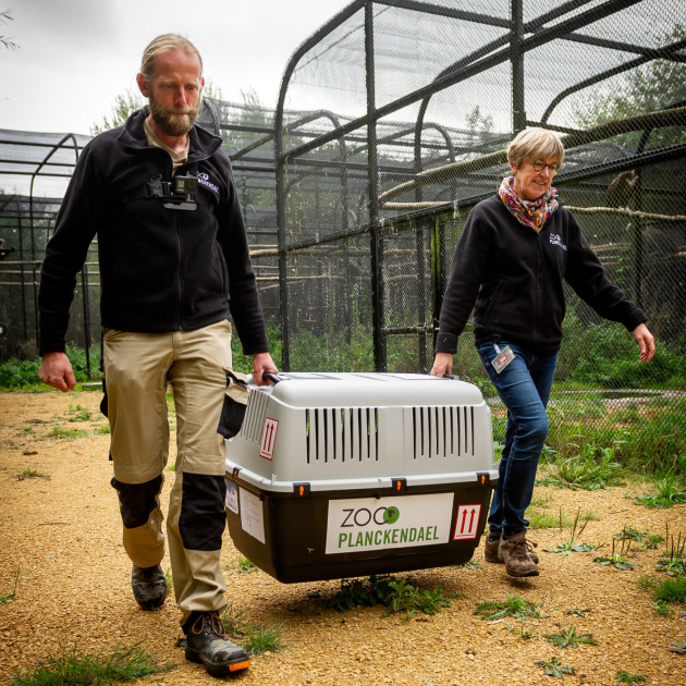 ZOO Planckendael / Jonas Verhulst