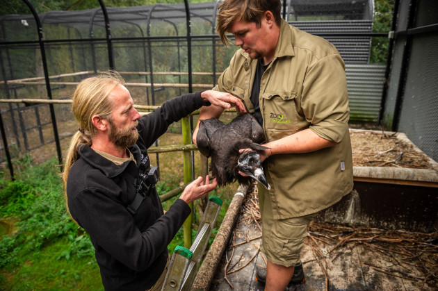 ZOO Planckendael / Jonas Verhulst