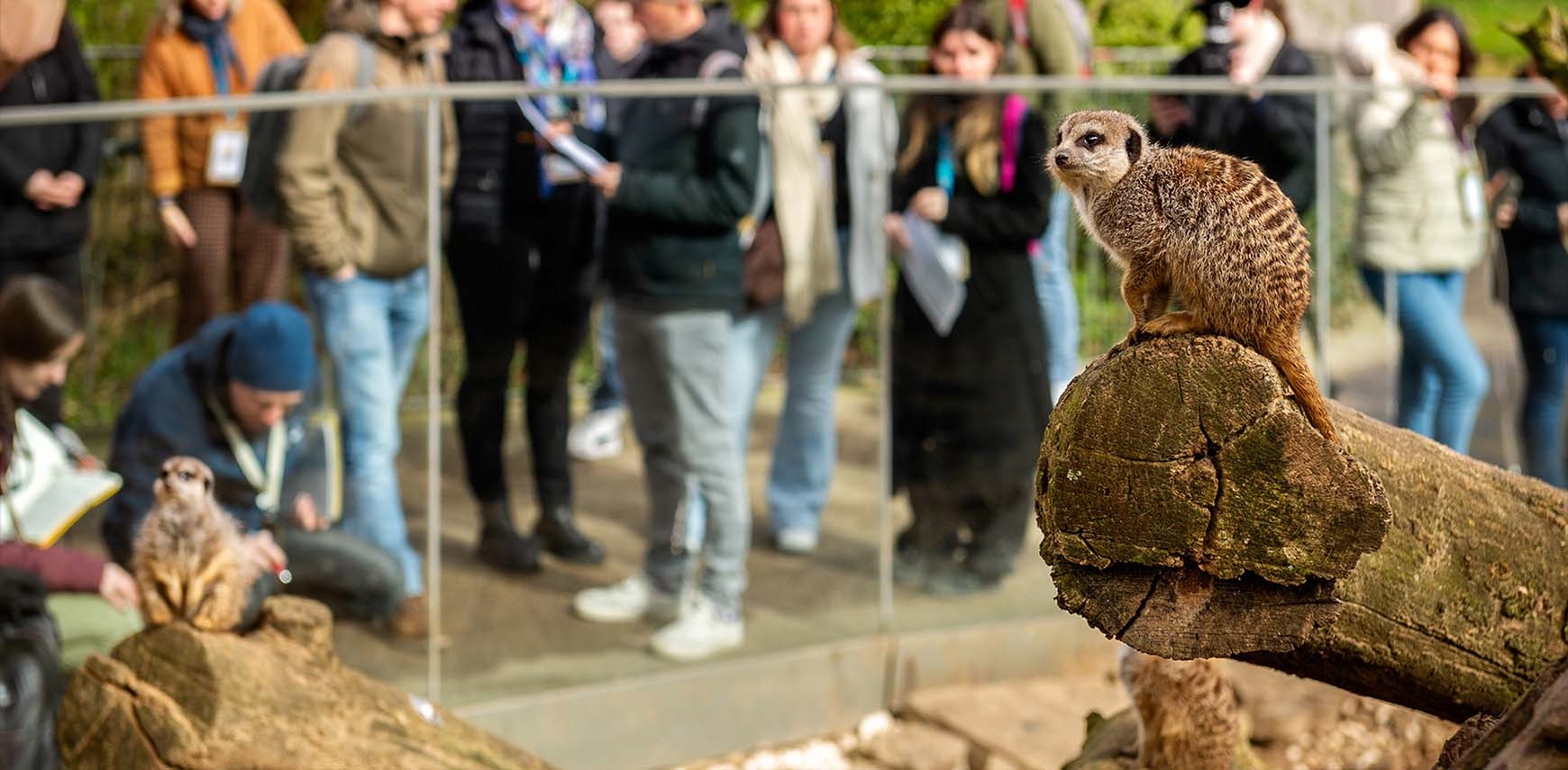 Op zoek naar de heilige graal van dierenwelzijn