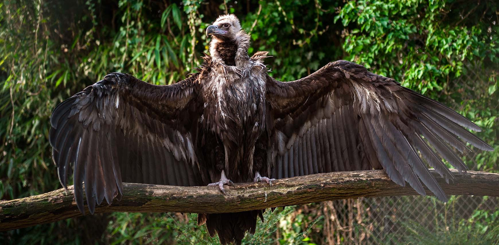 Wat onze onderzoekers dit jaar ontdekten én waar ze van dromen 