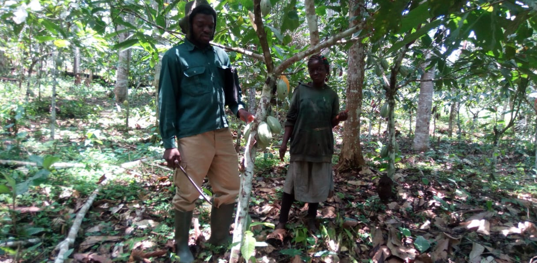 Antwerp ZOO en Planckendael ZOO save wildlife in Cameroon