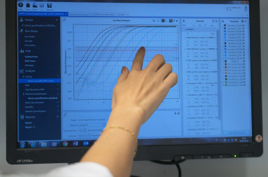 Screening en analyse van olifantenbloed