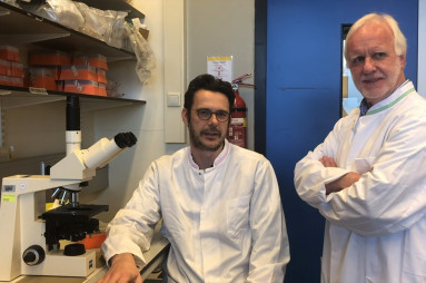 Prof. dr. Xander De Haan and Prof. dr. Victor Rutten