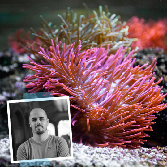 World Ocean Day: als we de zee redden, redden we de wereld