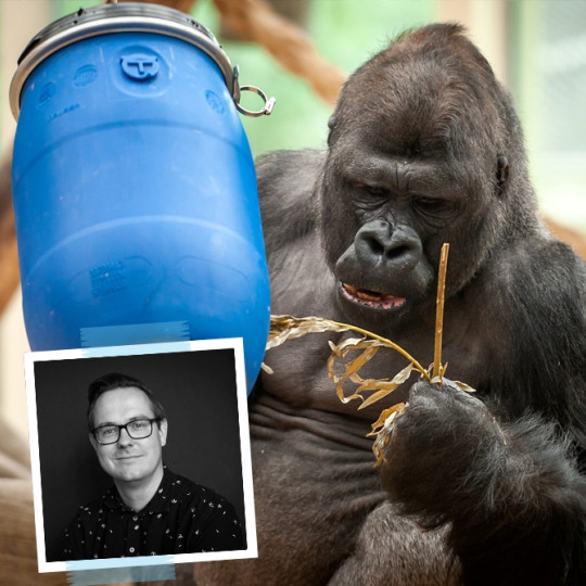 Groen blaadje voor gorilla’s