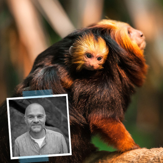 Why Do Female Mammals Outlive Males?