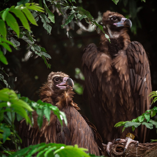 Wat onze onderzoekers dit jaar ontdekten én waar ze van dromen 